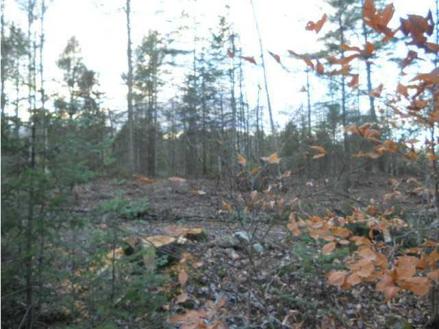 Land/Lot.