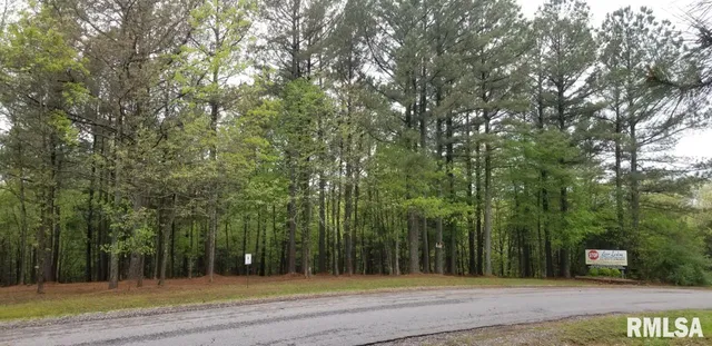 $28,000 | Lot 41 Luxor Landing Lane, Goreville, IL 62939