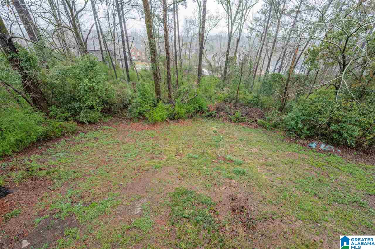 65 Shades Crest Road Hoover, AL 35226 - Photo 36 of 36