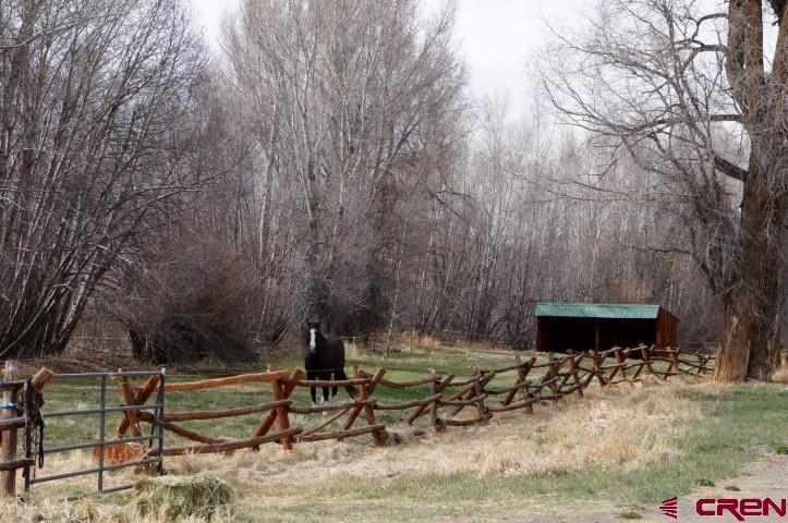 433 Meadow View Trail Gunnison, CO 81230 - Photo 7 of 13 a view of a bench in the backyard of a house