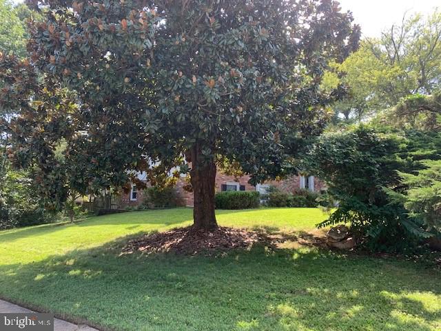 8501 Fairburn Drive Springfield, VA 22152 - Photo 28 of 30 a view of a trees in a yard