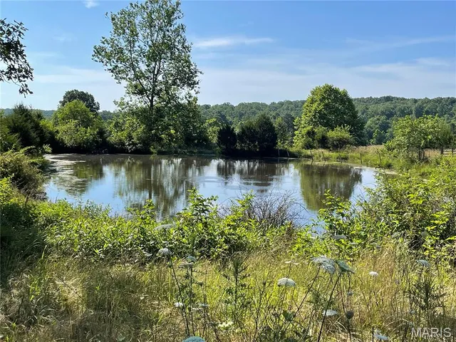 $325,000 | 20680 West Highway 32, Licking, MO 65542