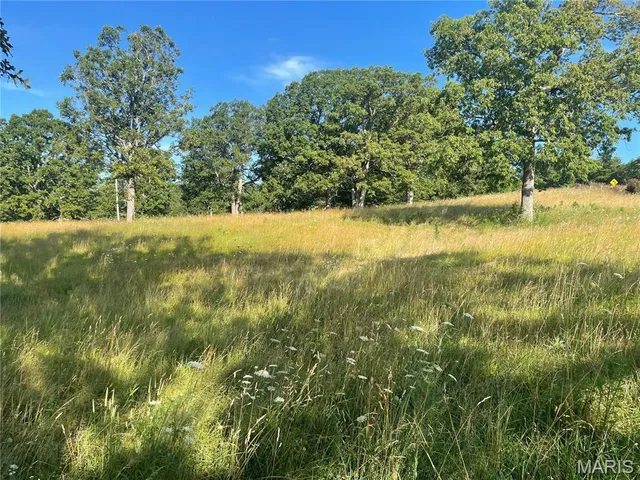 $325,000 | 20680 West Highway 32, Licking, MO 65542