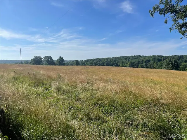 $325,000 | 20680 West Highway 32, Licking, MO 65542