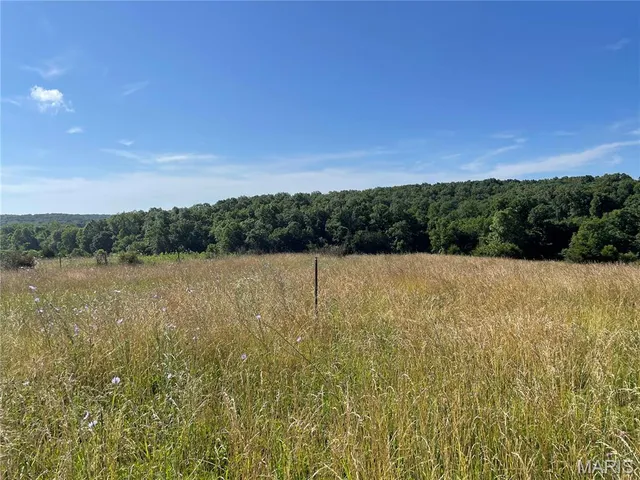 $325,000 | 20680 West Highway 32, Licking, MO 65542