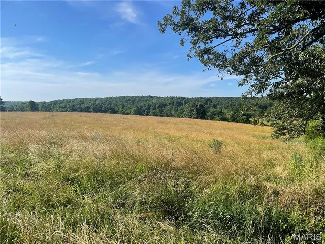 $325,000 | 20680 West Highway 32, Licking, MO 65542