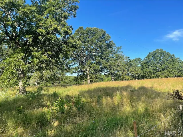 $325,000 | 20680 West Highway 32, Licking, MO 65542