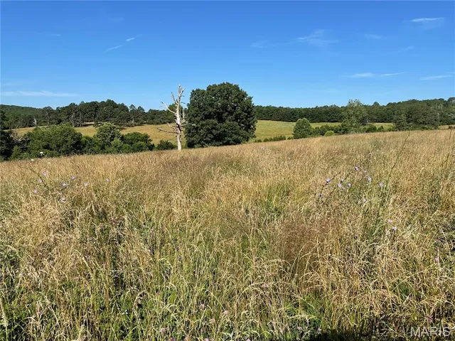 $325,000 | 20680 West Highway 32, Licking, MO 65542