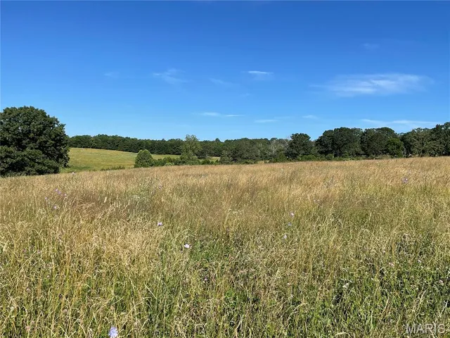 $325,000 | 20680 West Highway 32, Licking, MO 65542