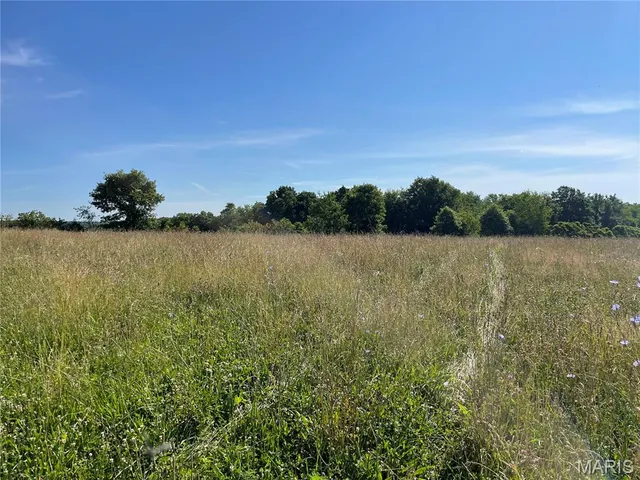 $325,000 | 20680 West Highway 32, Licking, MO 65542