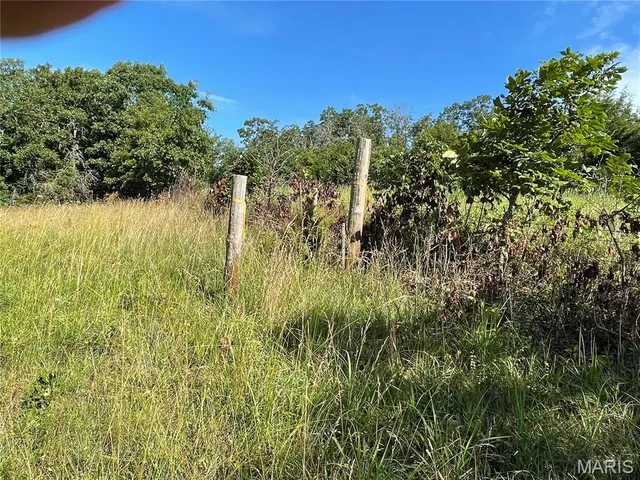 $325,000 | 20680 West Highway 32, Licking, MO 65542