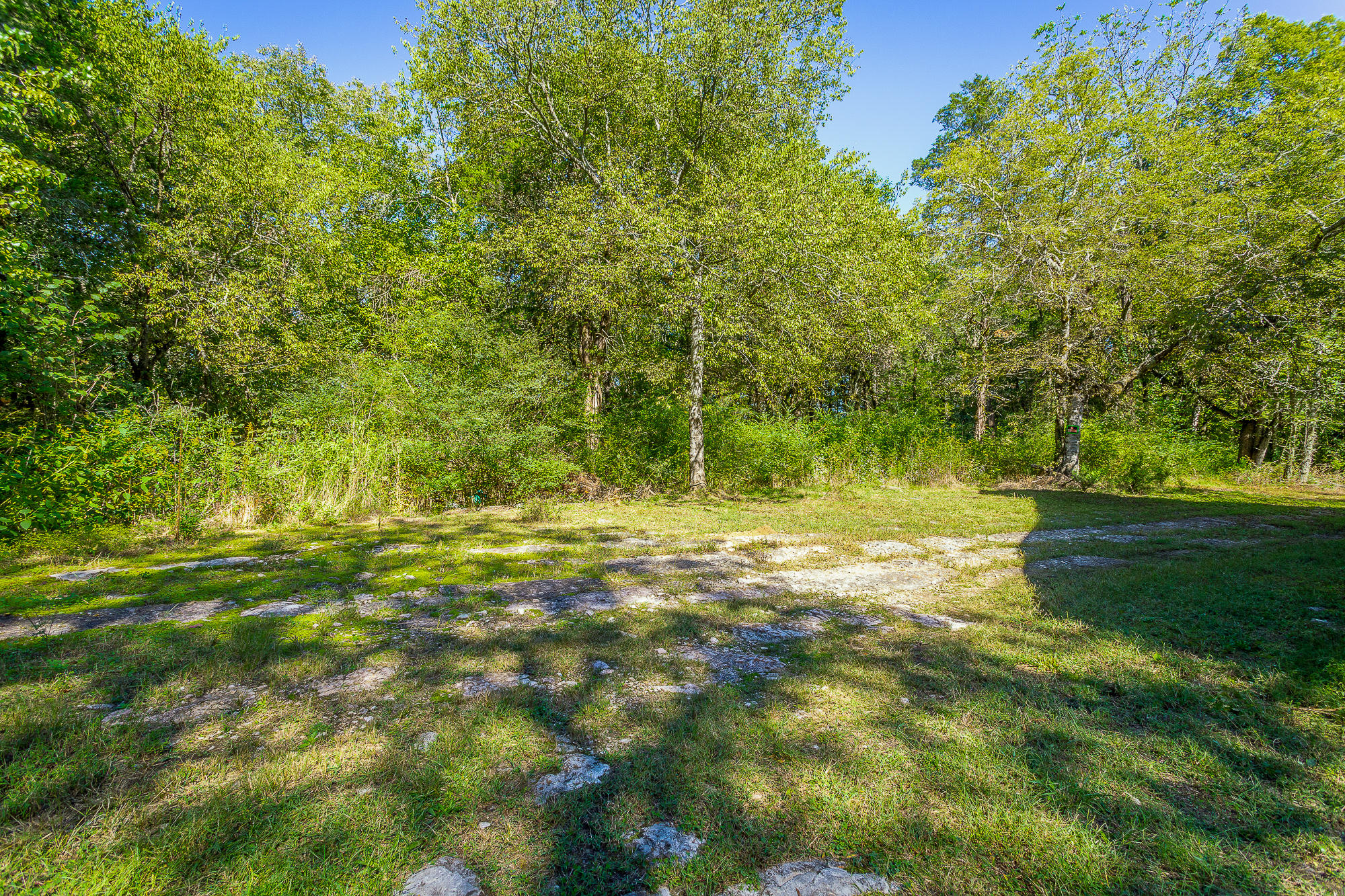 2389 Glass Mill Road Chickamauga, GA 30707 - Photo 38 of 51 2389 Glass Mill Rd. HD-67