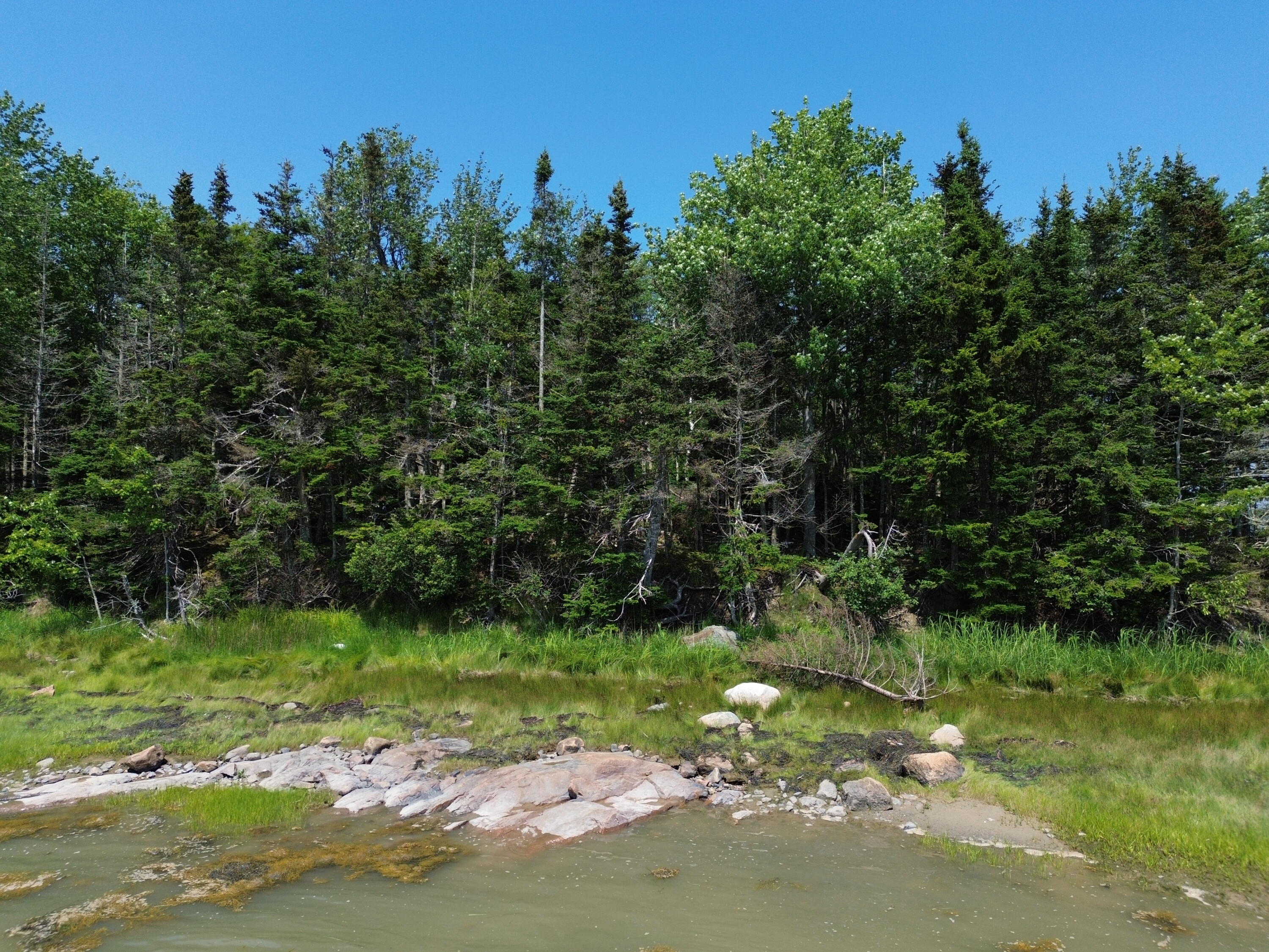 M7-l 5 6 Pineo Point Road Harrington, ME 04643 - Photo 39 of 45 DJI_0387