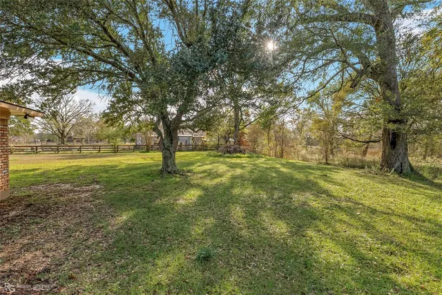 a view of yard with trees
