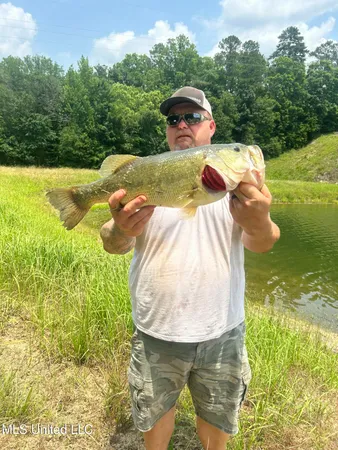 $4,199,000 | 1992 Peavy Road South, Chunky, MS 39323