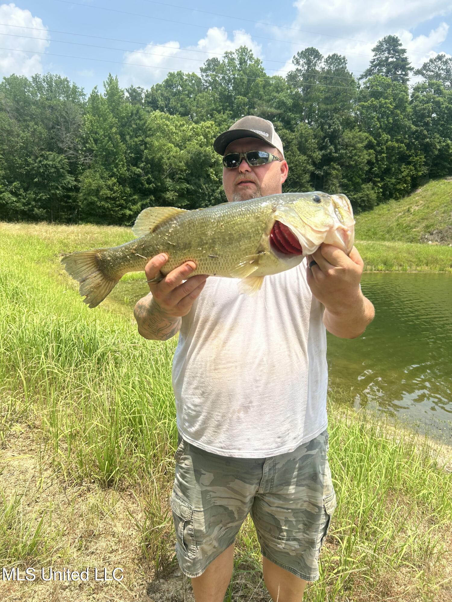 1992 Peavy Road South Chunky, MS 39323 - Photo 12 of 80 IMG_0632