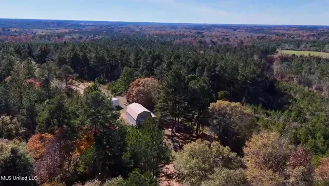 $4,199,000 | 1992 Peavy Road South, Chunky, MS 39323