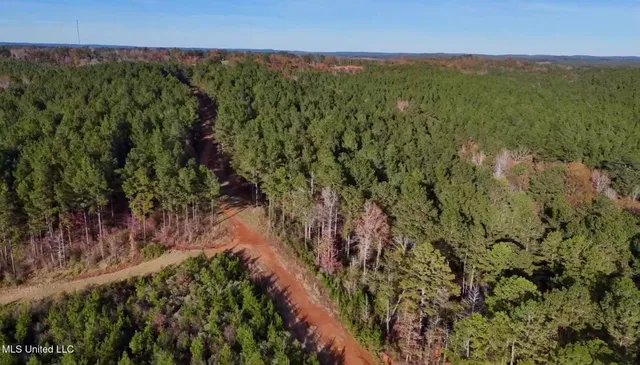 $4,199,000 | 1992 Peavy Road South, Chunky, MS 39323