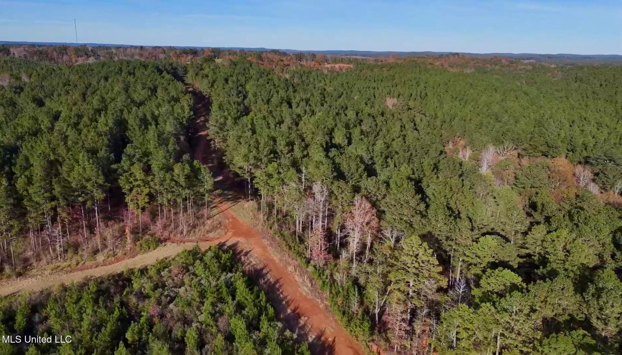 1992 Peavy Road South Chunky, MS 39323 - Photo 15 of 80 IMG_1425