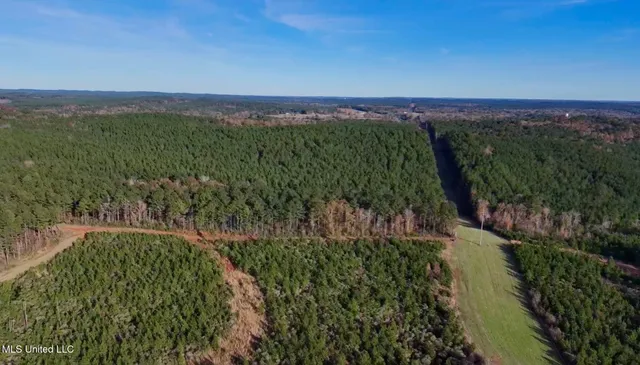 $4,199,000 | 1992 Peavy Road South, Chunky, MS 39323