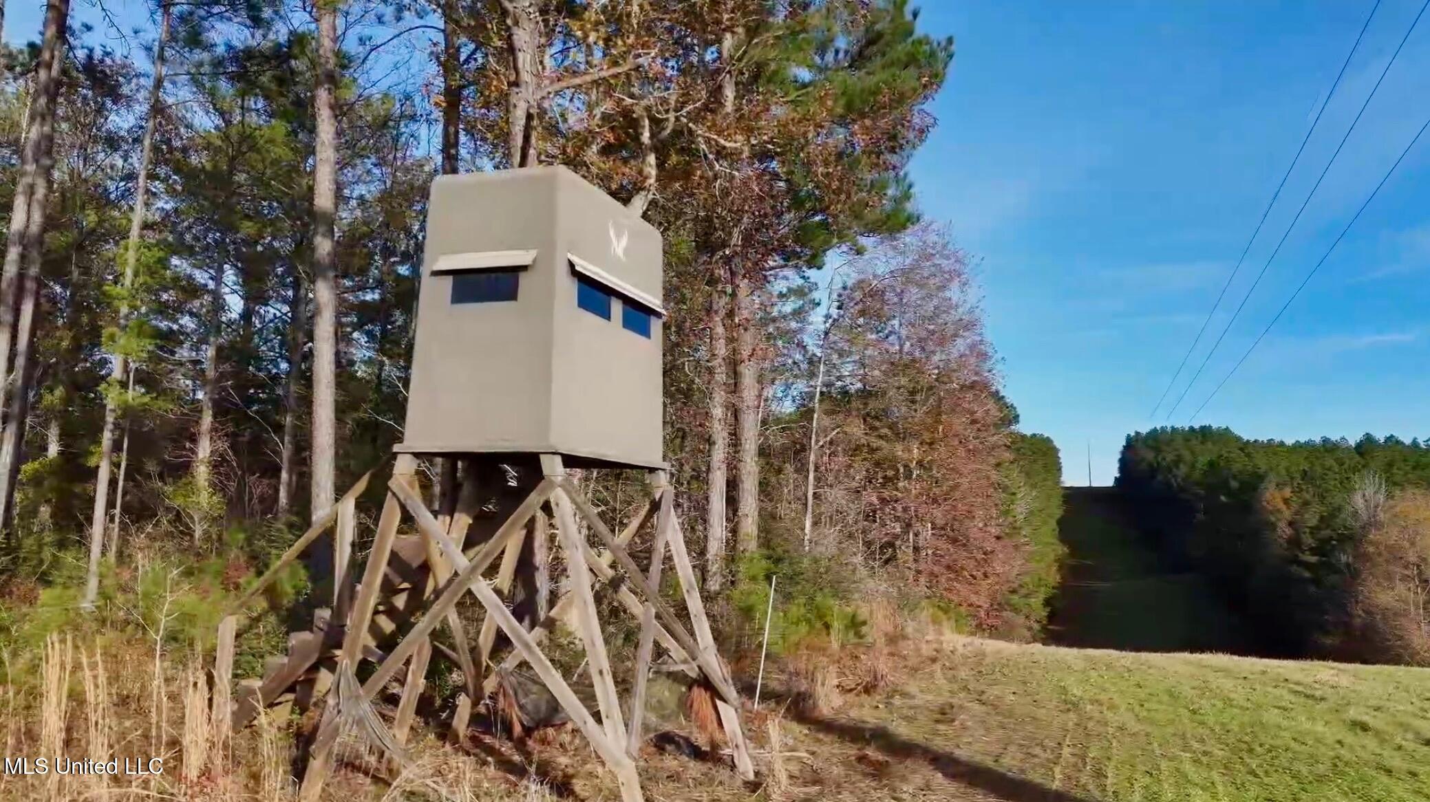 1992 Peavy Road South Chunky, MS 39323 - Photo 17 of 80 IMG_1437(1)