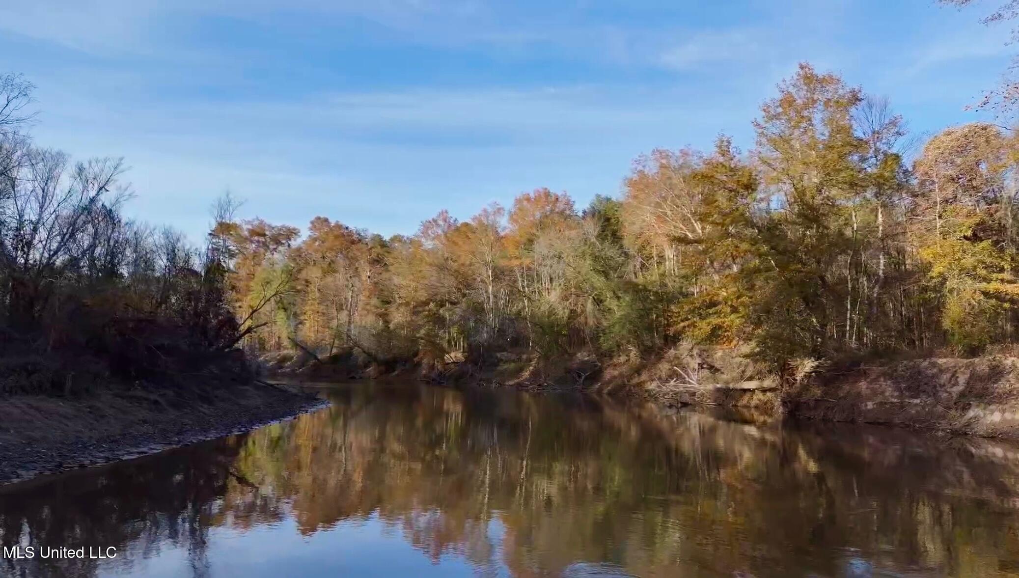 1992 Peavy Road South Chunky, MS 39323 - Photo 21 of 80 IMG_1457(1)