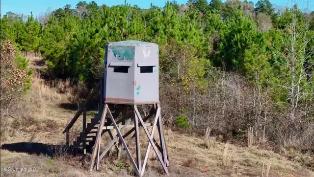 $4,199,000 | 1992 Peavy Road South, Chunky, MS 39323