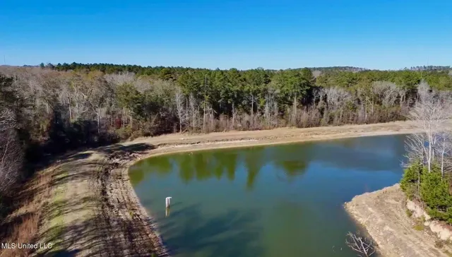 $4,199,000 | 1992 Peavy Road South, Chunky, MS 39323