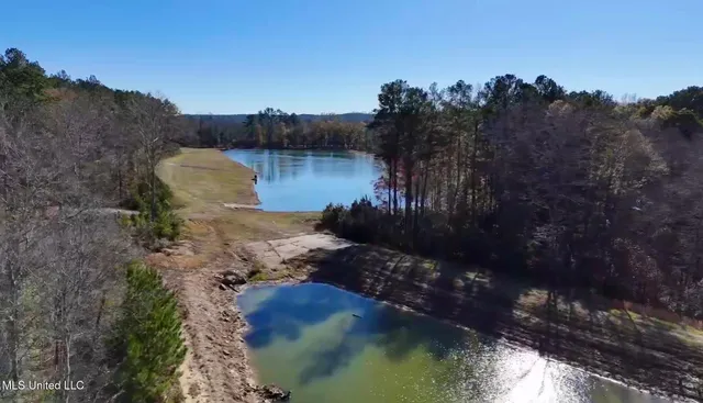 $4,199,000 | 1992 Peavy Road South, Chunky, MS 39323