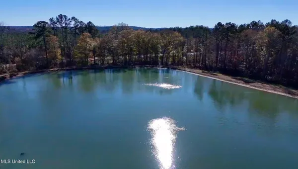 $4,199,000 | 1992 Peavy Road South, Chunky, MS 39323
