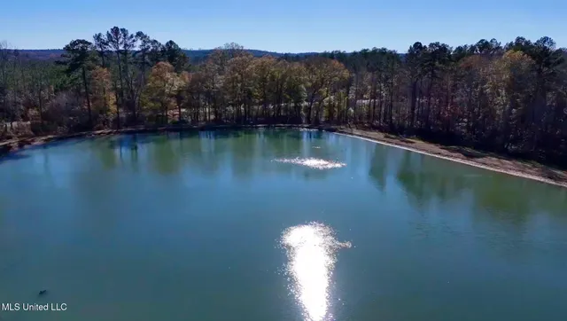 $4,199,000 | 1992 Peavy Road South, Chunky, MS 39323