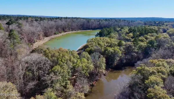 $4,199,000 | 1992 Peavy Road South, Chunky, MS 39323