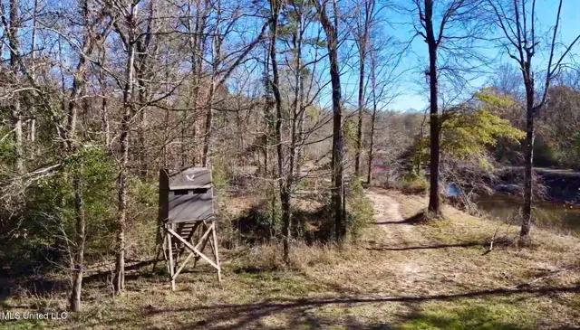 $4,199,000 | 1992 Peavy Road South, Chunky, MS 39323