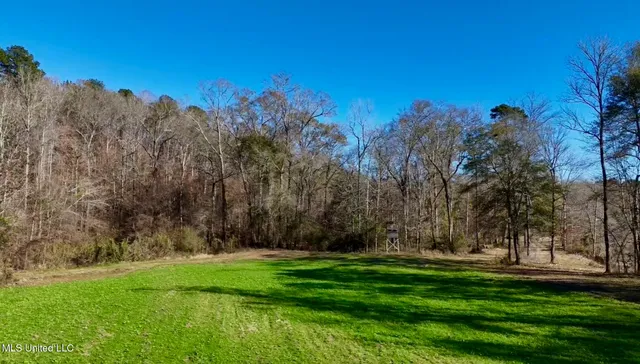 $4,199,000 | 1992 Peavy Road South, Chunky, MS 39323