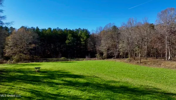 $4,199,000 | 1992 Peavy Road South, Chunky, MS 39323