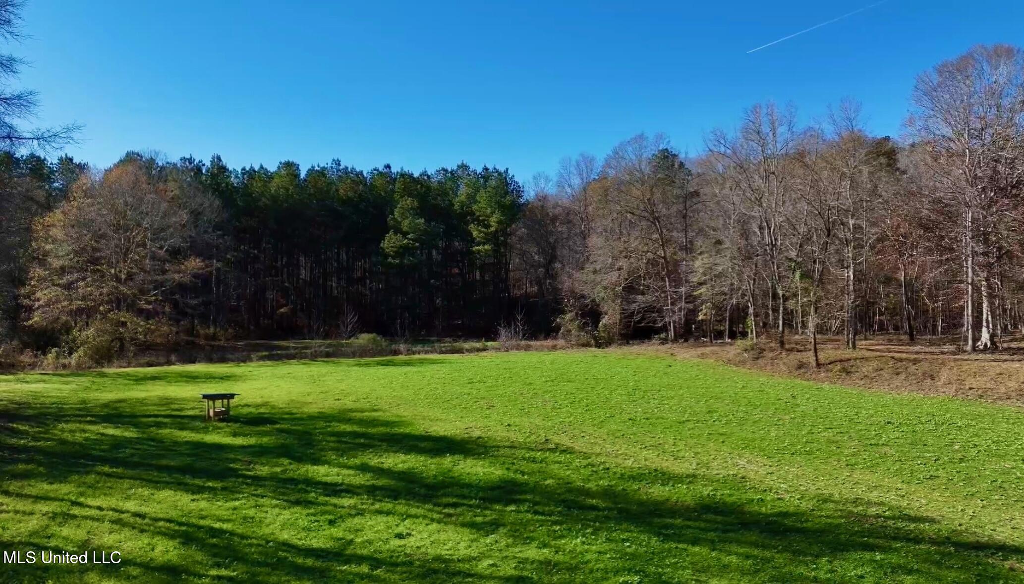 1992 Peavy Road South Chunky, MS 39323 - Photo 31 of 80 IMG_1511