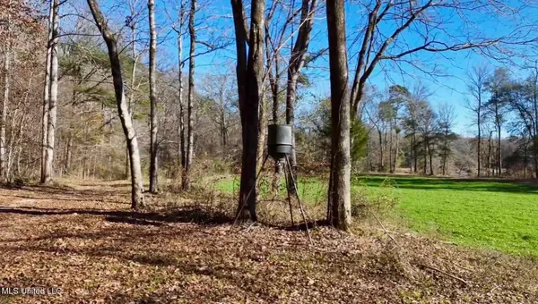 $4,199,000 | 1992 Peavy Road South, Chunky, MS 39323