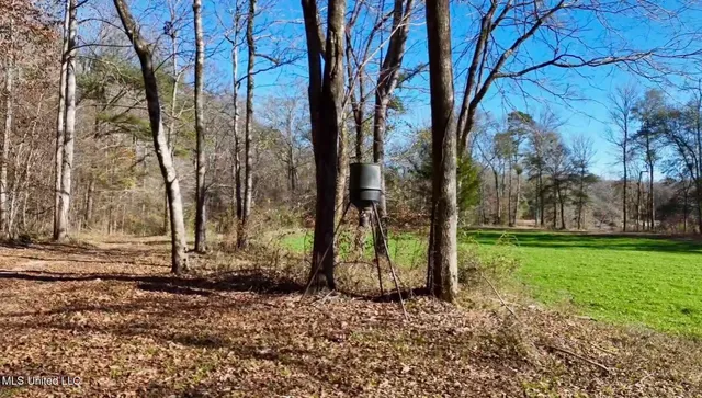 $4,199,000 | 1992 Peavy Road South, Chunky, MS 39323