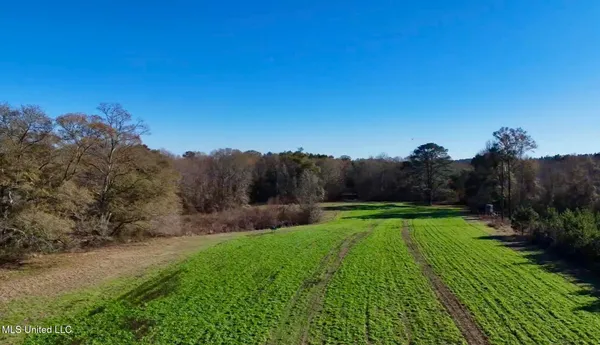 $4,199,000 | 1992 Peavy Road South, Chunky, MS 39323