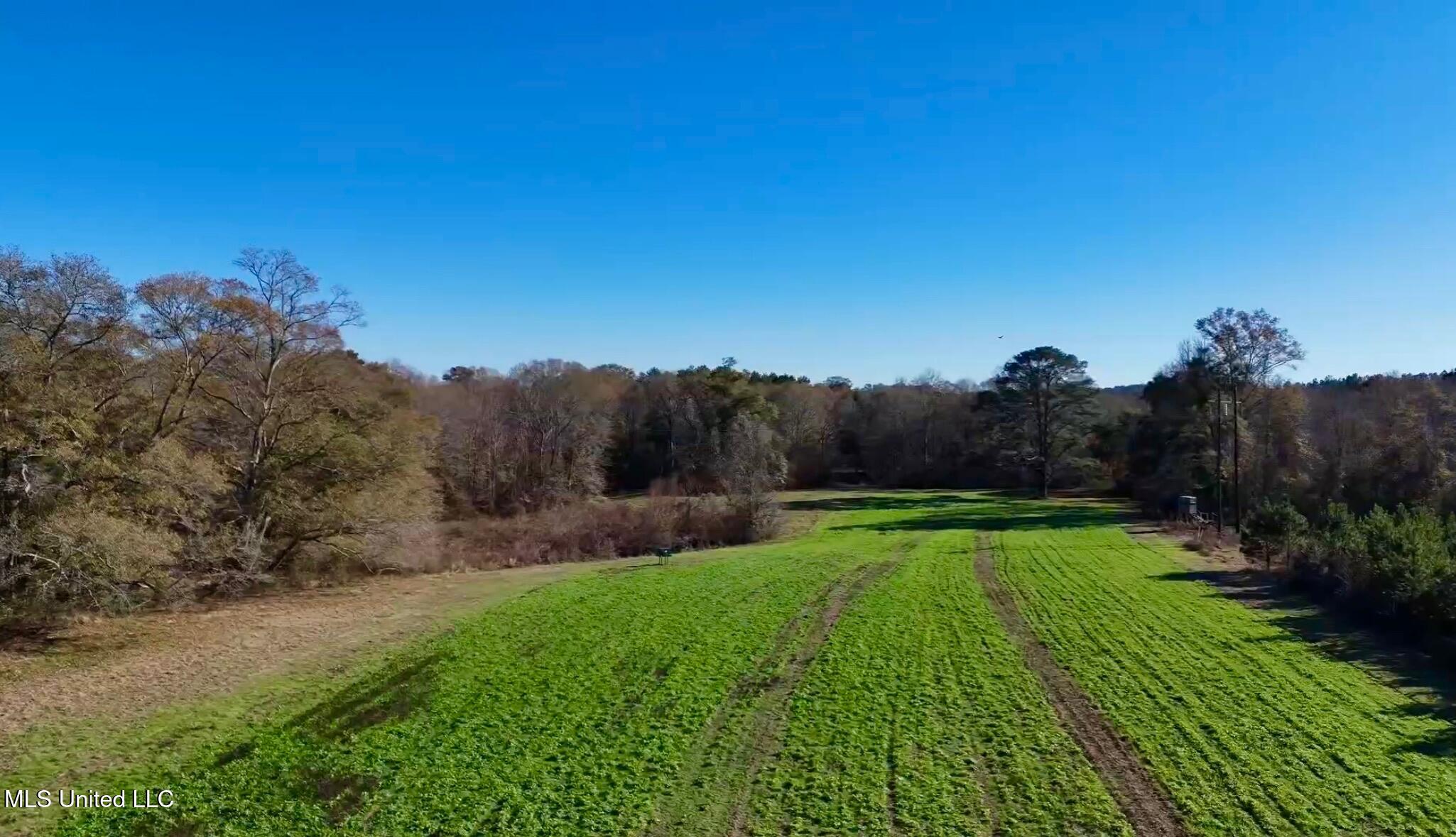 1992 Peavy Road South Chunky, MS 39323 - Photo 33 of 80 IMG_1516