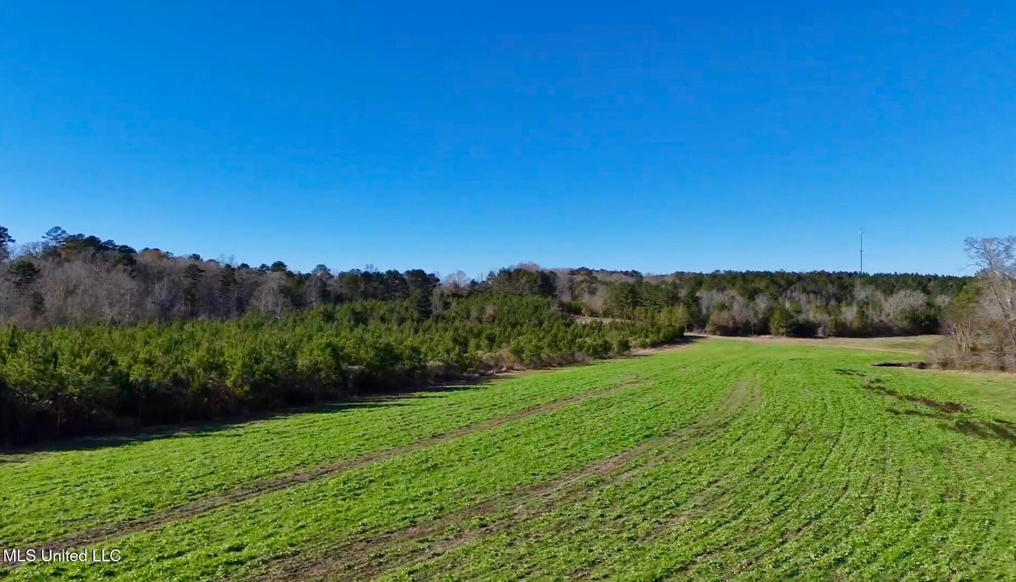 1992 Peavy Road South Chunky, MS 39323 - Photo 34 of 80 IMG_1518