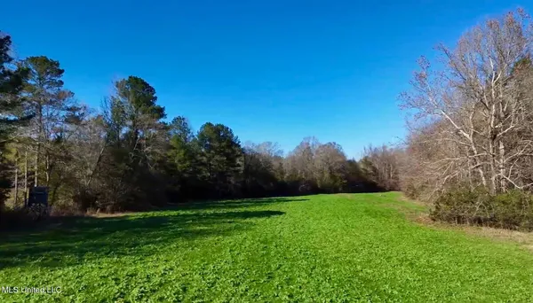 $4,199,000 | 1992 Peavy Road South, Chunky, MS 39323