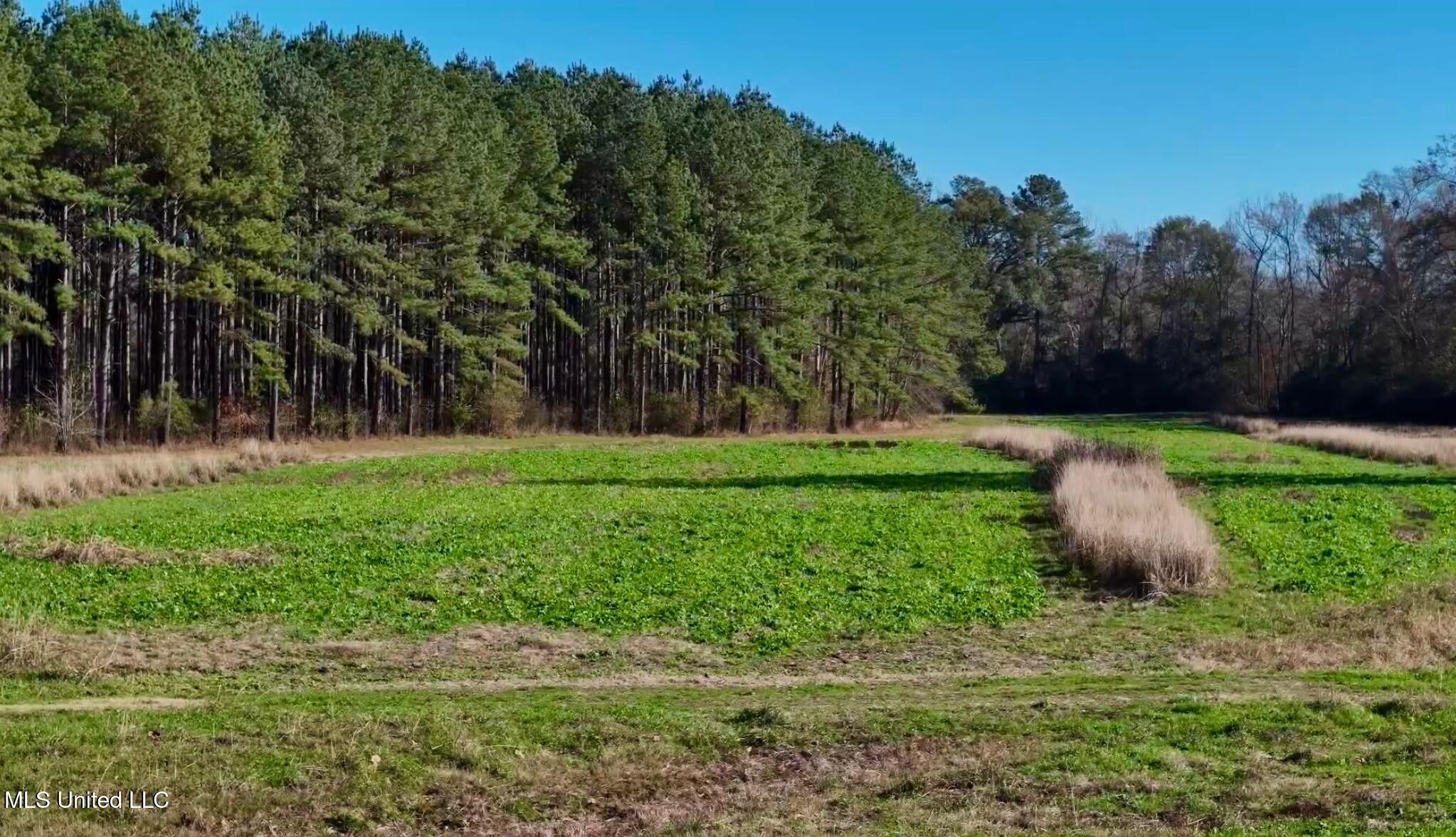 1992 Peavy Road South Chunky, MS 39323 - Photo 37 of 80 IMG_1528