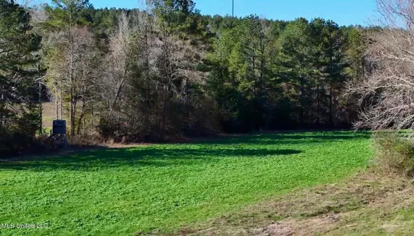 $4,199,000 | 1992 Peavy Road South, Chunky, MS 39323
