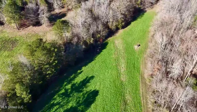 $4,199,000 | 1992 Peavy Road South, Chunky, MS 39323