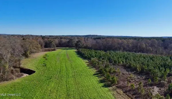 $4,199,000 | 1992 Peavy Road South, Chunky, MS 39323