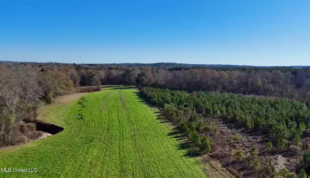 $4,199,000 | 1992 Peavy Road South, Chunky, MS 39323