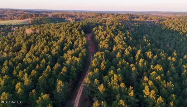 $4,199,000 | 1992 Peavy Road South, Chunky, MS 39323