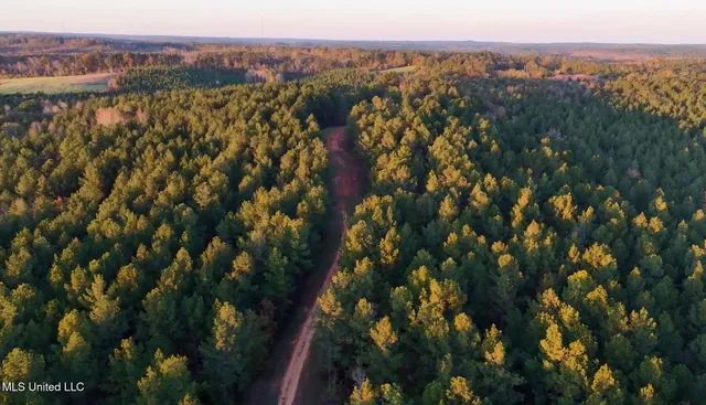 $4,199,000 | 1992 Peavy Road South, Chunky, MS 39323