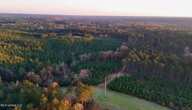 $4,199,000 | 1992 Peavy Road South, Chunky, MS 39323